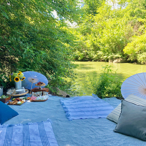 Picnic in Central Park NYC with blue blankets