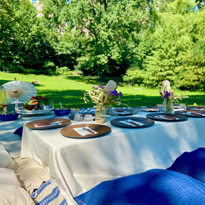 Picnic setup with a table and plates