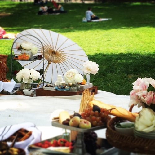 Picnic in Central Park NYC