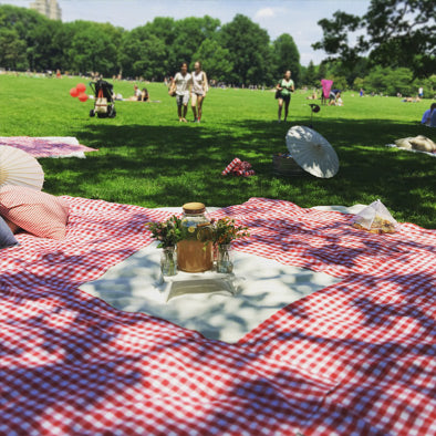 Picnic in Central Park NYC