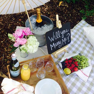 Picnic set up with a sign that reads "will you marry me?"