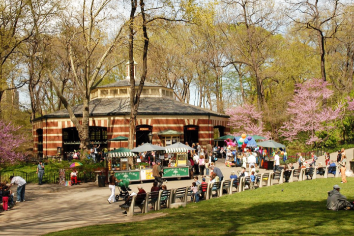 a group of people walking in a park