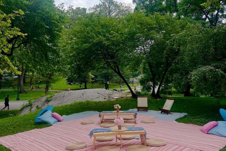 Outdoor picnic setup with pink rug, cushions, and low tables in a park.