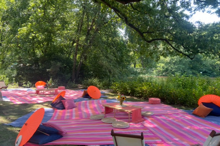 Outdoor picnic setup with colorful mats, cushions, and parasols under trees.