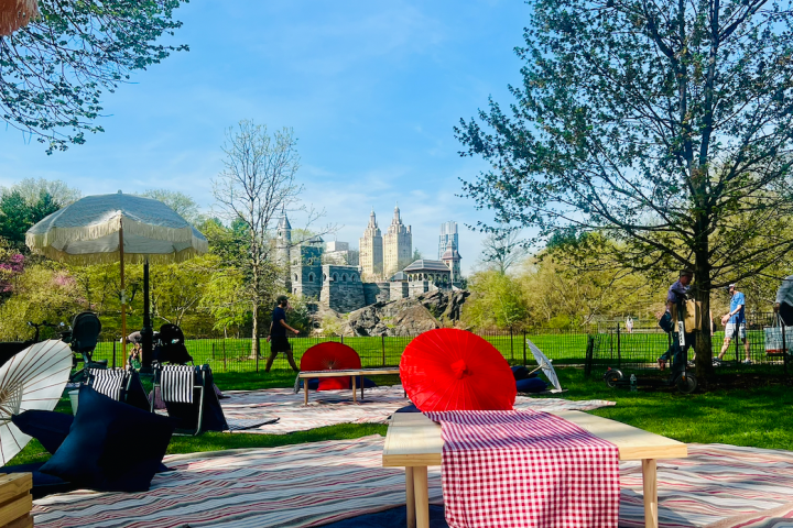 Picnic setup with table, parasols, and blankets in a park on a sunny day; cityscape in the background.