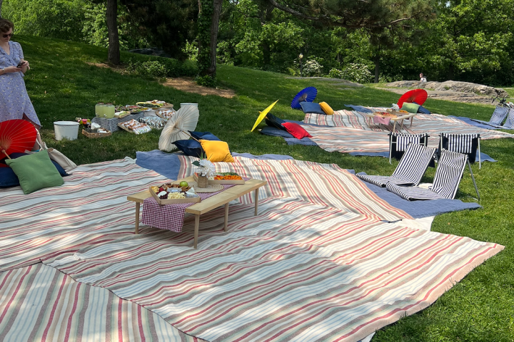 Picnic setup with striped blankets, cushions, umbrellas, and a low table on grass.